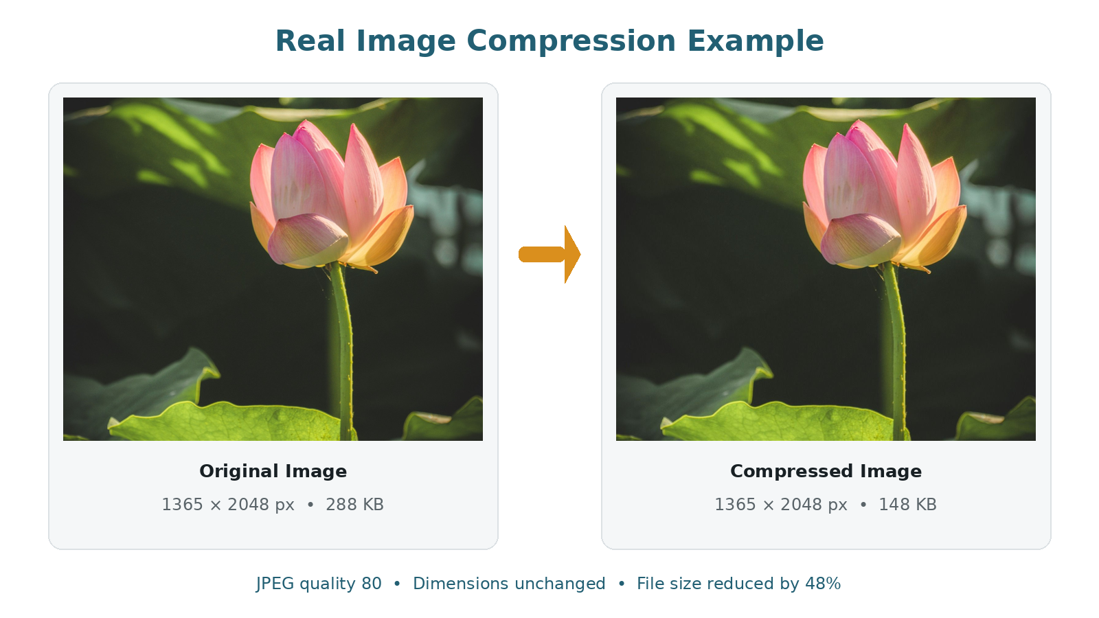 Original and compressed lotus flower photograph shown side by side